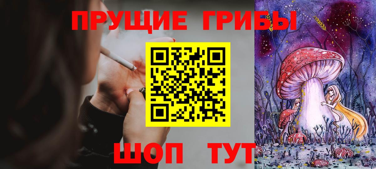 Звенигород  Псилоцибиновые грибы мицелий  Вход с VPN 
