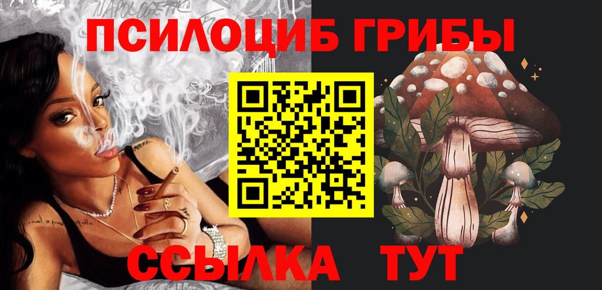 Галлюциногенные грибы Cubensis Звенигород